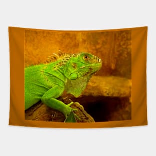 Green iguana Tapestry