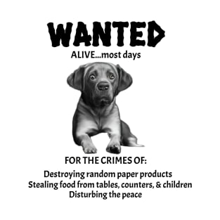 Wanted Poster for Labrador Retriever T-Shirt