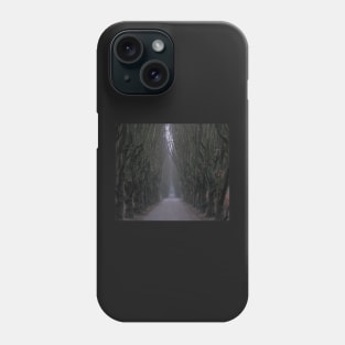 Gloomy path Phone Case