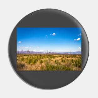 Sotol in the Chihuahuan Desert Pin