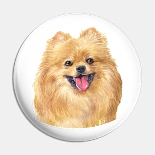 Orange Pomeranian Watercolor Art Pin