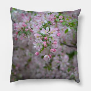 Pink Crab Apple Pillow