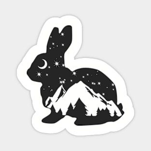 Wilderness Rabbit | Adventure | Bunny Magnet