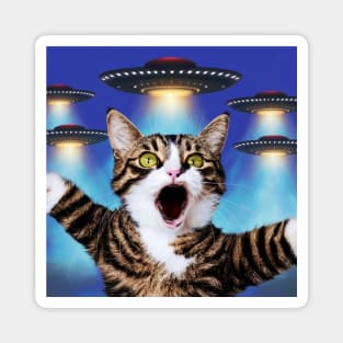 Selfie of Funny Cat And Aliens UFOs 3 Magnet