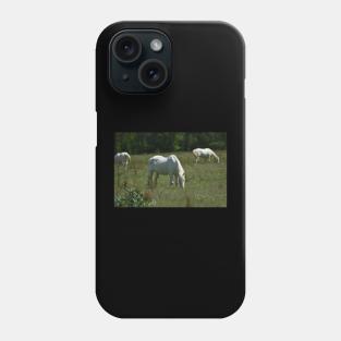 Wild Horse Phone Case