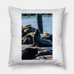 Black Sea Lion Pillow