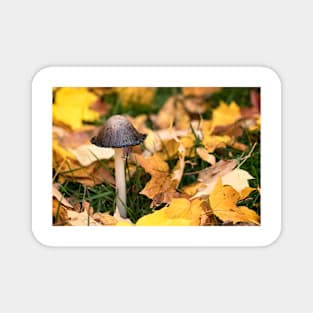 Autumn Mushroom Magnet