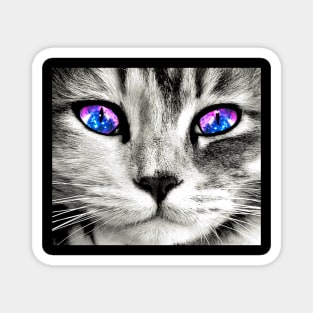 Galaxy Cat Eyes Magnet