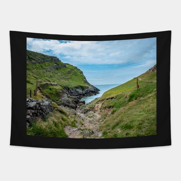 Welsh Coastal Path, Gower, South Wales. The rocky path down to Mewslade Bay at high tide Tapestry by yackers1