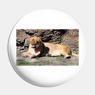 Lion Pin