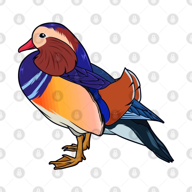 Drawing of mandarin duck by Modern Medieval Design