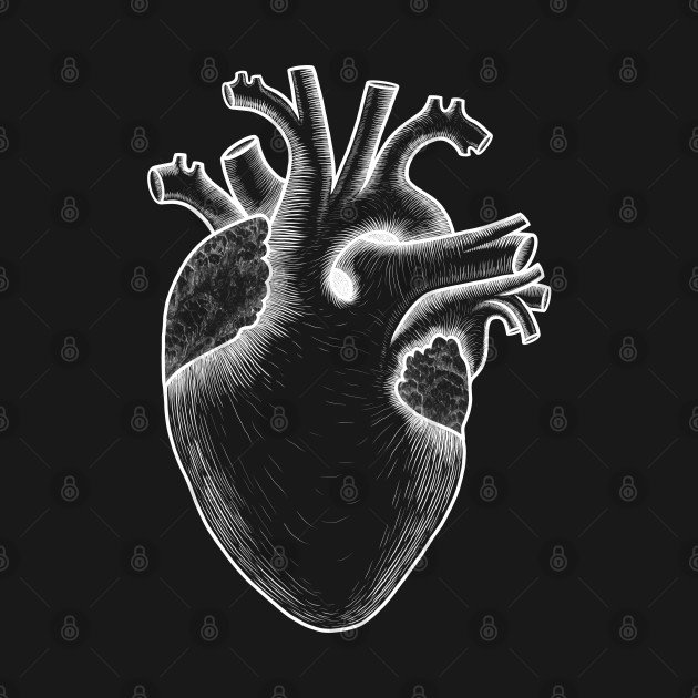 Human heart anatomy, I love my heart by Artardishop