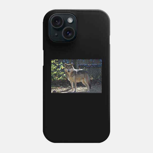 Grey Wolf Phone Case by MarieDarcy