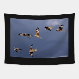 Red Kites Tapestry