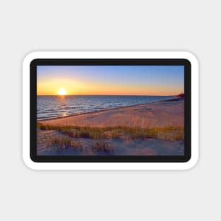 Sun-Kissed Sand Dunes Magnet