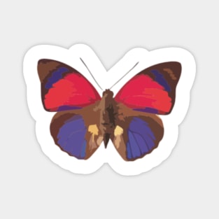 Claudina Butterfly Digital Painting Magnet