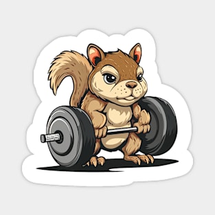 squirrel at gym Magnet