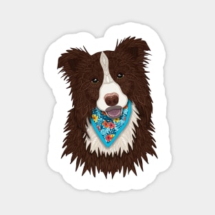 Tropical Brown Border Collie Boy Magnet