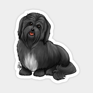 Dog - Havanese Dog - Black Magnet