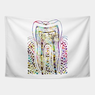 Tooth Structure Tapestry