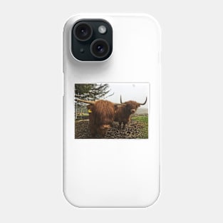 Scottish Highland Cattle Cow and Calf 1994 Phone Case