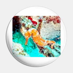 Orange Caribbean Sea Horse Pin