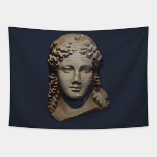 Ancient Statue of Greek Woman Tapestry