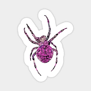 Pink Spider Fierce Orb-Weaver Magnet