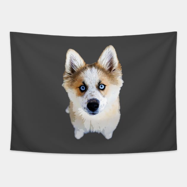 Pomsky Cute Puppy Dog Pomeranian x Husky Tapestry by ElegantCat