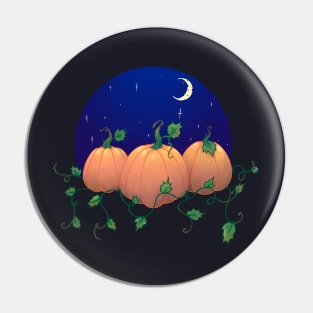 Pumpkin and night Pin