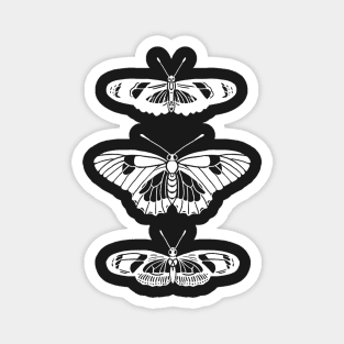 Butterfly Trio Magnet