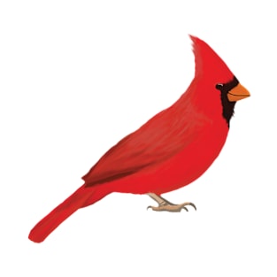 Cardinal T-Shirt