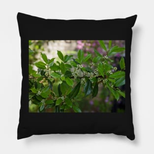 Green and White Blooms on a Branch Pillow