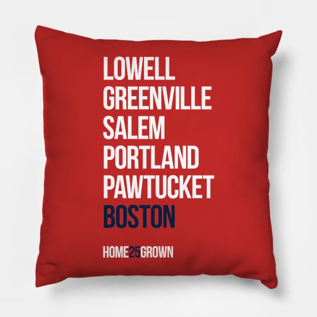 "Homegrown Series" Boston: JBJ Pillow by alanduda