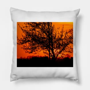 Fiery sunset Pillow