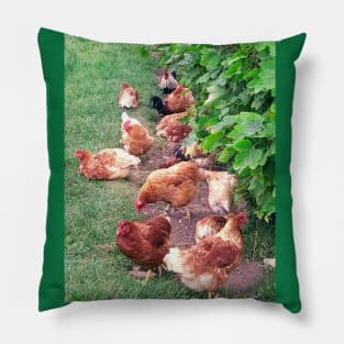 Vineyard With Chickens Pillow