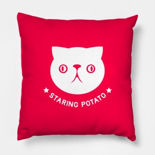 Cute, face of a Persian cat. funny design for meme fans Pillow