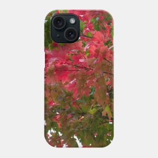 Red green autumn maple leaves Phone Case