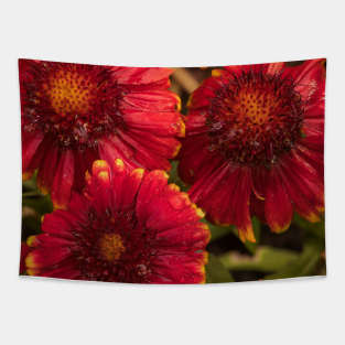 Red Blooms Tapestry