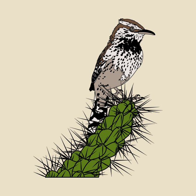 Cactus wren 2 by ProcyonidaeCreative