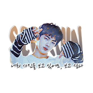 Artistic Spring Day Jin Design with lyrics T-Shirt