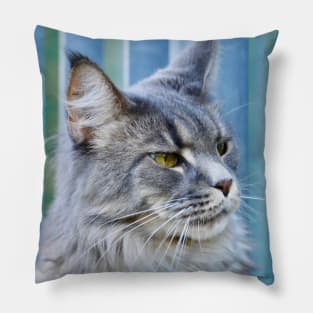 Maine Coon Blue / Swiss Artwork Photography Pillow