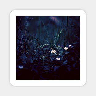 White Petal Flowers and Grass Magnet