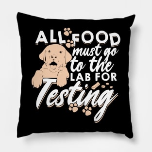 All Food Must Go To The Lab For Testing Pillow