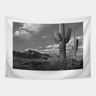 Saguaro And Teddybear Cholla Cacti And The Picacho Mountains Tapestry