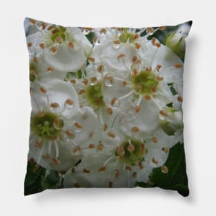 Beautiful flowers after rain Pillow