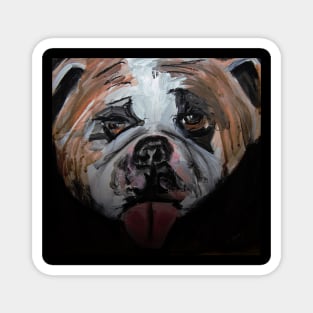 Bulldog Magnet