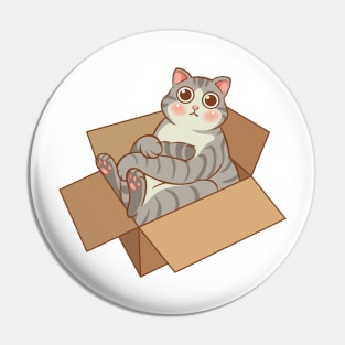 Tabby cat in the box Pin