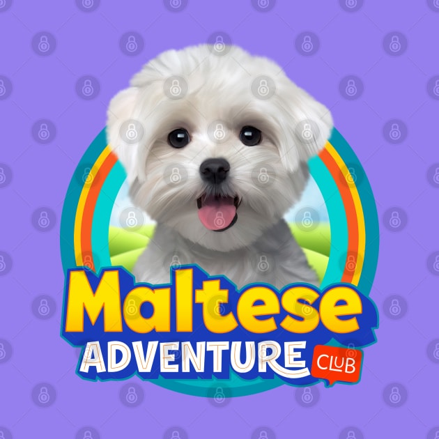 Maltese dog by Puppy & cute