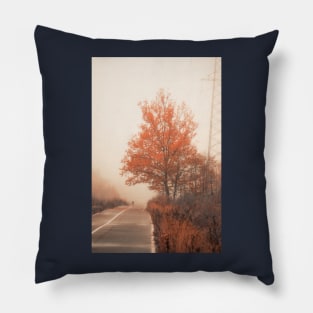 Autumn Road Pillow